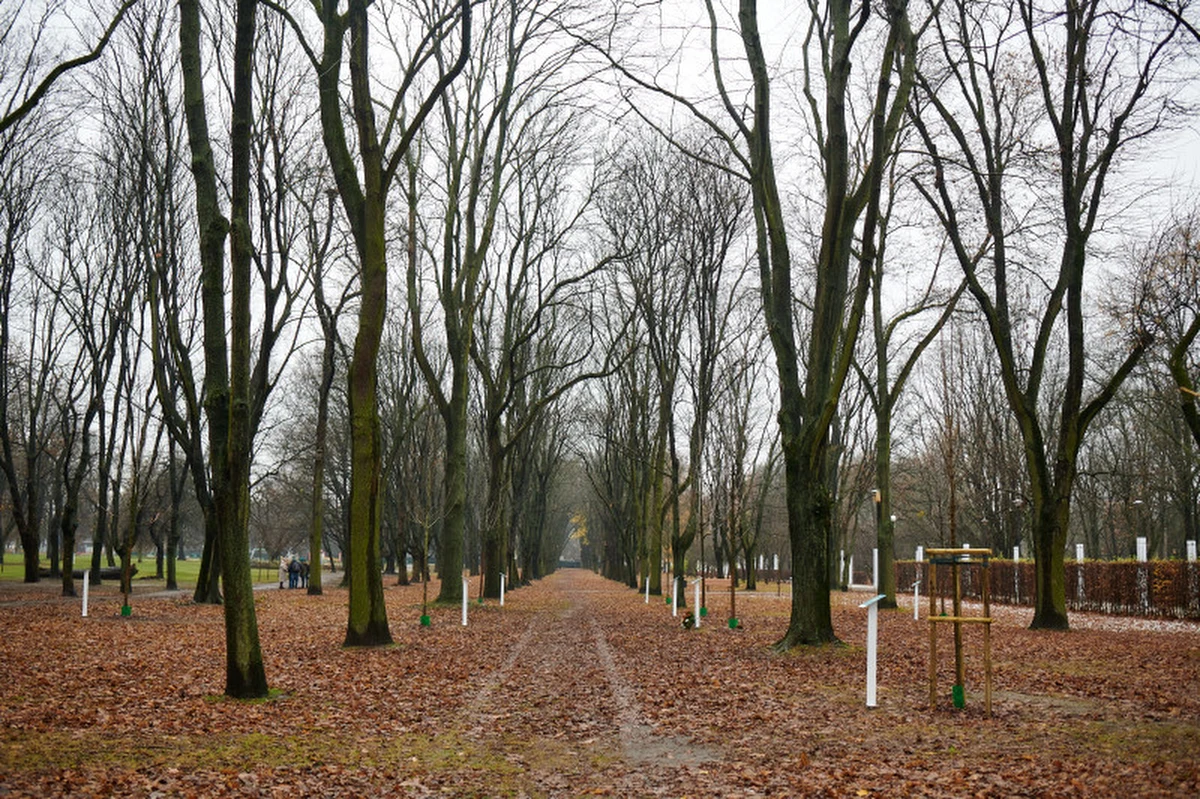 ​W parku Powstańców Warszawy na Woli posadzono pierwsze drzewa upamiętniające 20 powstańców. Są to osoby, których potomkowie zgłosili się do projektu "Korzenie pamięci" i nagrali swoje wspomnienia o przodku - przekazało Muzeum Powstania Warszawskiego.