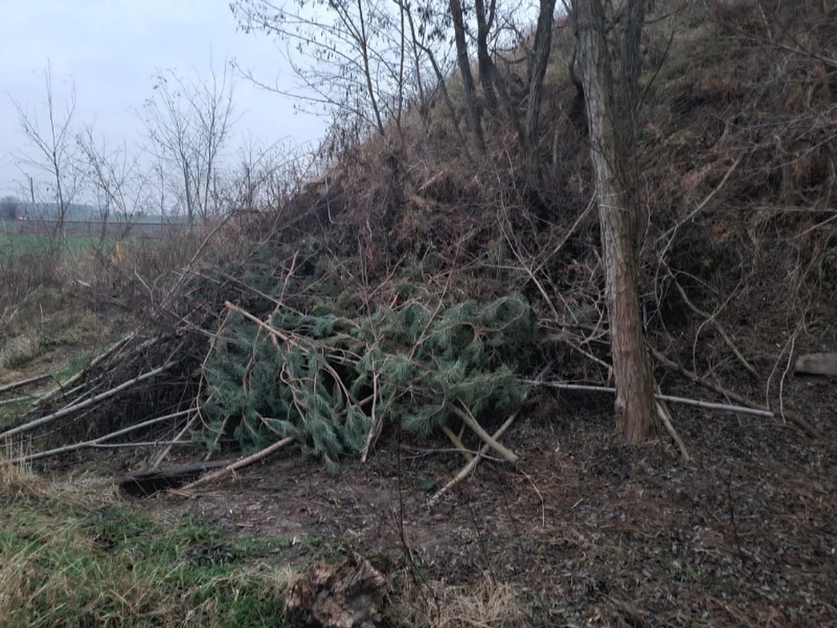 ​Dzielnicowi z Bojanowa zatrzymali 23-klatkę, która ukrywała się przed policjantami w prowizorycznie wykonanej ziemiance. Kobieta decyzją sądu musi odbyć karę roku pozbawienia wolności. Była poszukiwana za kradzież z włamaniem.

