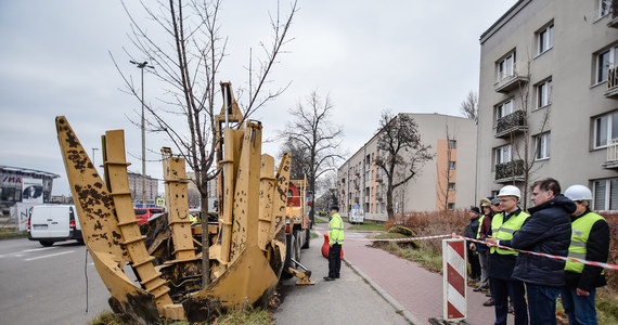 ​W Częstochowie przesadzają drzewa. Chodzi o Aleję Wojska Polskiego i przebudowę dawnej trasy nr 1, czyli tak zwaną "gierkówkę".