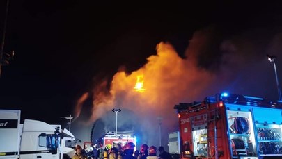 Pożar studia Alvernia Planet. Kilkadziesiąt osób ewakuowano
