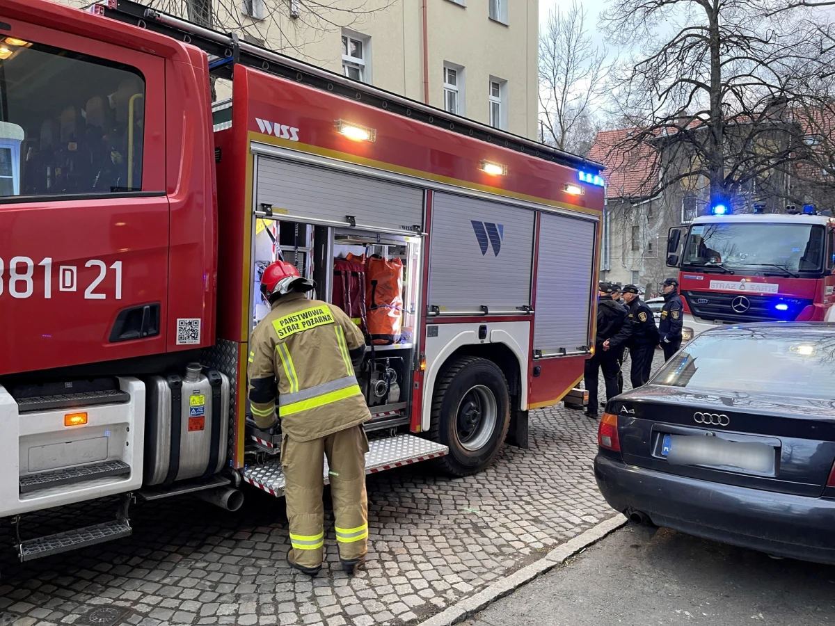 W województwie zachodniopomorskim strażacy interweniowali 282 razy. Głównie wzywani byli do powalonych przez silny wiatr drzew