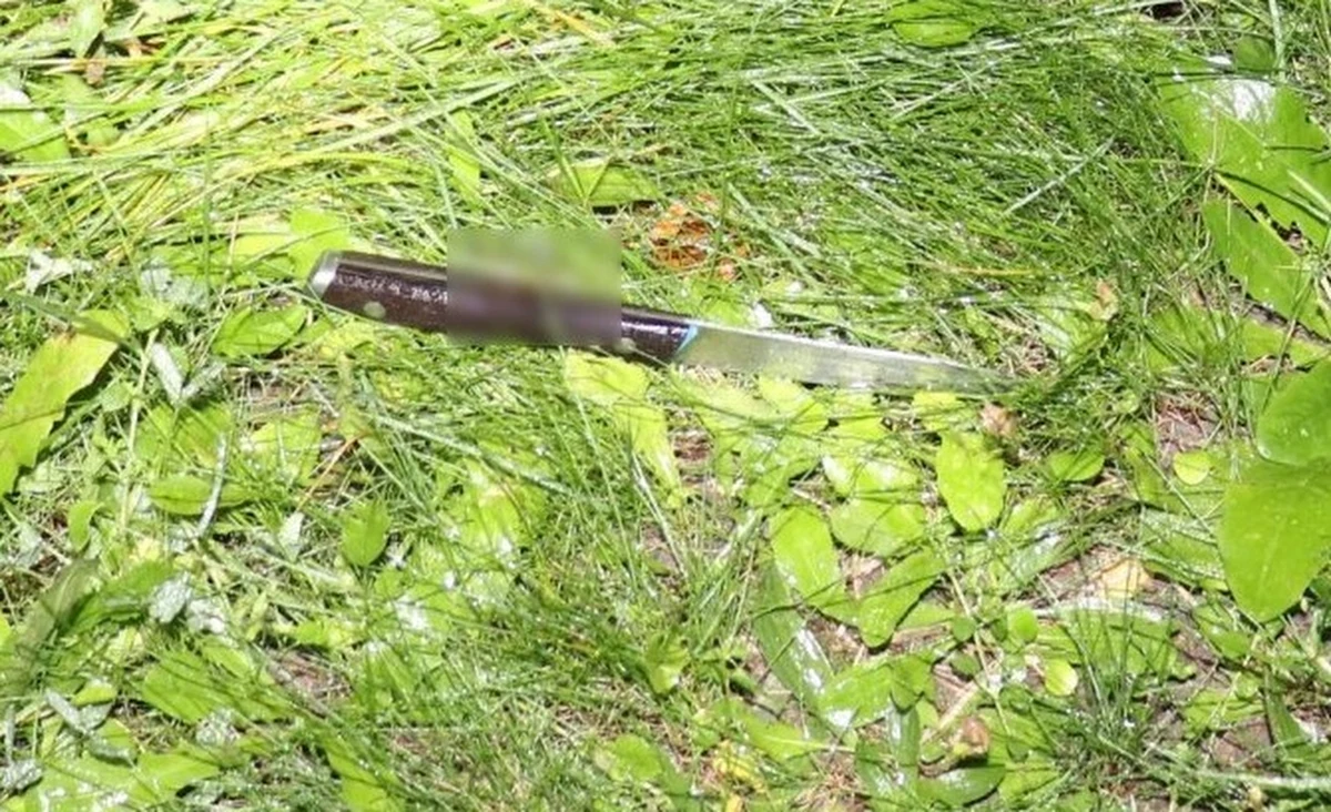 ​Zarzut usiłowania zabójstwa usłyszał 44-letni mieszkaniec Sosnowca. Mężczyzna ugodził nożem swojego znajomego. Ofiara trafiła do szpitala.