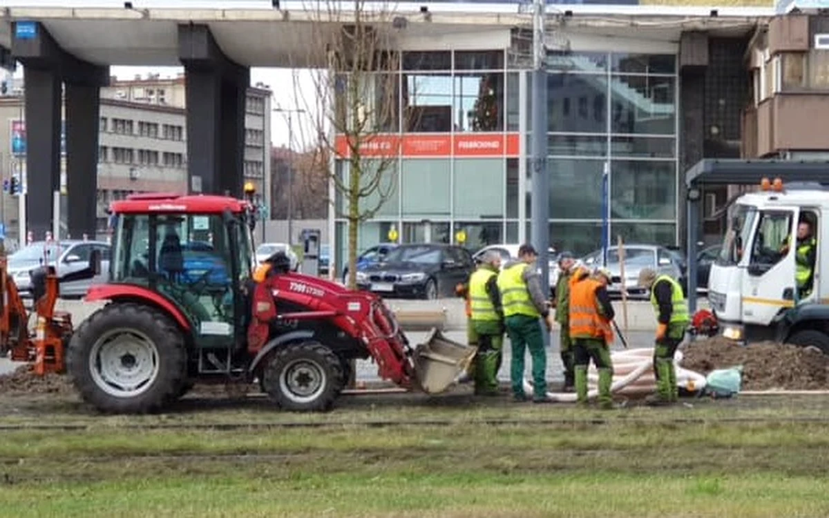 Rozpoczęło się sadzenie drzew przy Al. Korfantego między rynkiem a rondem im. gen. Jerzego Ziętka przy Spodku w Katowicach. Wcześniej ulica została zwężona. Będzie tam rosło 27 klonów.
