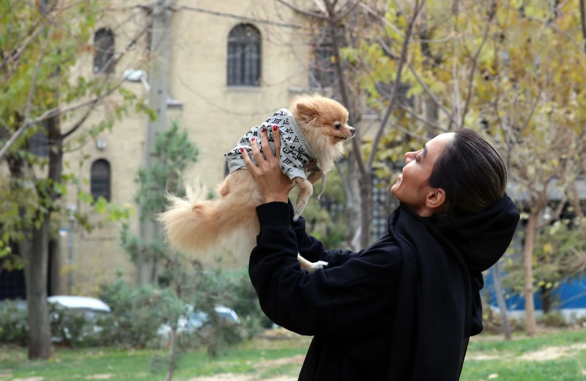 Hiszpański Kongres Deputowanych zatwierdził ustawę dotyczącą ochrony i praw zwierząt. Wprowadziła ona nowe normy posiadania zwierząt towarzyszących, regulujące między innymi sytuację pupili w przypadku rozwodu opiekunów.