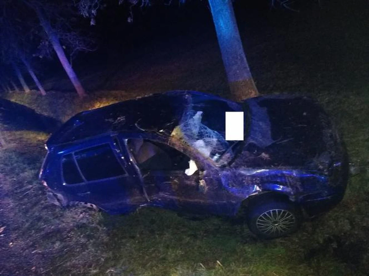 W Sarnówku (woj. łódzkie) doszło do poważnego wypadku. Pijany kierowca dachował samochodem, w którym były jeszcze dwie pasażerki. 