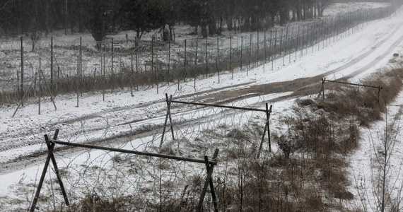 W rejonie Narewki, ok. godz. 16 w niedzielę funkcjonariusze białoruskich służb wyrzucali z pojazdu petardy hukowe wzdłuż granicy, ale tak, żeby nie przeleciały na stronę polską - poinformowała rzecznik straży granicznej por. Anna Michalska.