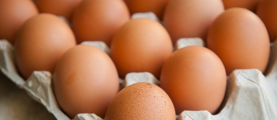 Główny Inspektorat Sanitarny poinformował w poniedziałek o stwierdzeniu obecności pałeczek Salmonella Enteritidis na powierzchni skorupek jaj oraz w ich treści. Komunikat GIS dotyczy partii jaj od producenta z Mazowsza.