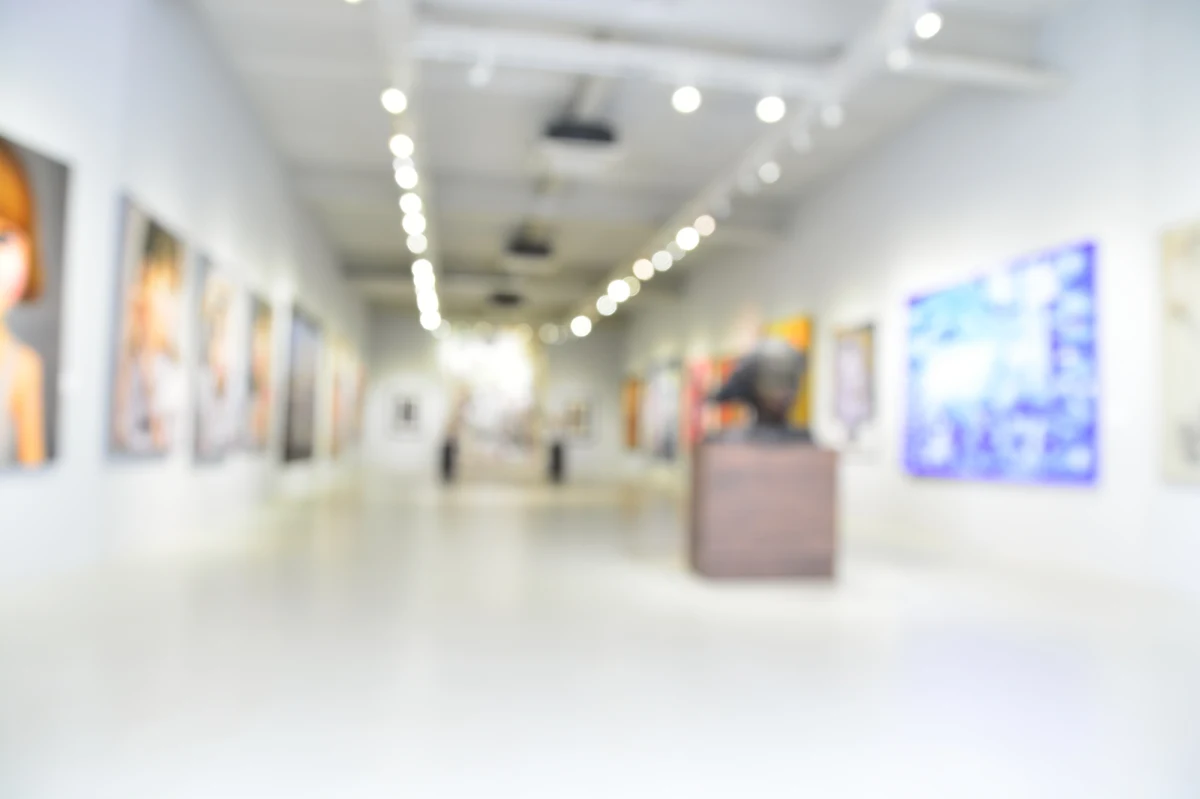 Twórczyni Galleri New Form Joanna S. i jej syn Mikael - poszukiwani od lat i zatrzymani w październiku na podstawie ENA w Hiszpanii - uciekli i ukrywają się - wynika z informacji Prokuratury Regionalnej w Białymstoku. Matka i syn są podejrzani o kierowanie piramidą finansową. 