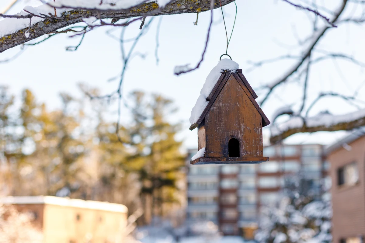 ​100 karmników dla ptaków w zestawach do samodzielnego złożenia otrzymają bezpłatnie mieszkańcy Katowic. Władze miasta chcą w ten sposób zwrócić uwagę na właściwe dokarmianie ptaków i promować ideę recyklingu - budki powstały z odpadów.