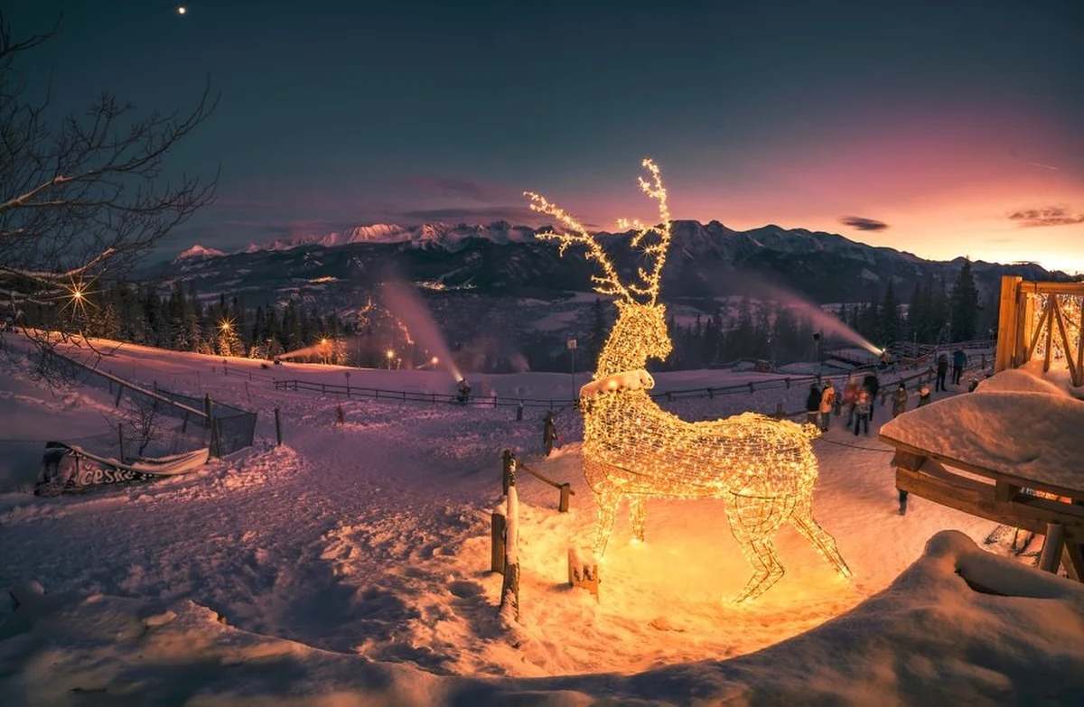 Polskie Koleje Linowe to ponad 85 lat tradycji w zapewnianiu pięknych chwil miłośnikom górskiej turystyki. PKL są liderem branży turystycznej oraz operatorem kolei linowych w kluczowych lokalizacjach turystycznych w Polsce. 