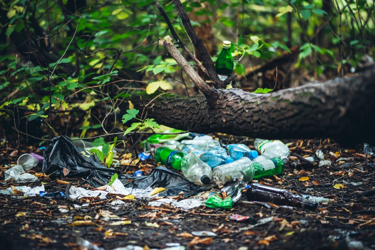 Wiceminister klimatu i środowiska Jacek Ozdoba zapowiedział wprowadzenie surowszych kar za m.in. nielegalny import do Polski odpadów niebezpiecznych. Za zaśmiecanie miejsc publicznych, pól i lasów będzie trzeba zapłacić nawet do 5 tys. złotych. 