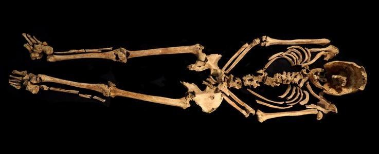 /foto: Albion Archaeology /