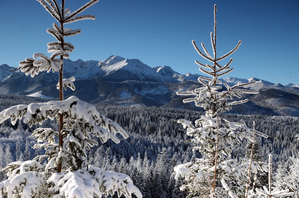 "W sobotę najchłodniej będzie w rejonach podgórskich i na Pomorzu. Tam do -3 st. C" – przekazała synoptyk Instytutu Meteorologii i Gospodarki Wodnej Małgorzata Tomczuk. Zachmurzenie będzie duże z większymi przejaśnieniami na południu. Szczególną ostrożność powinni zachować turyści w Tatrach. Ogłoszono tam drugi stopień zagrożenia lawinowego. 