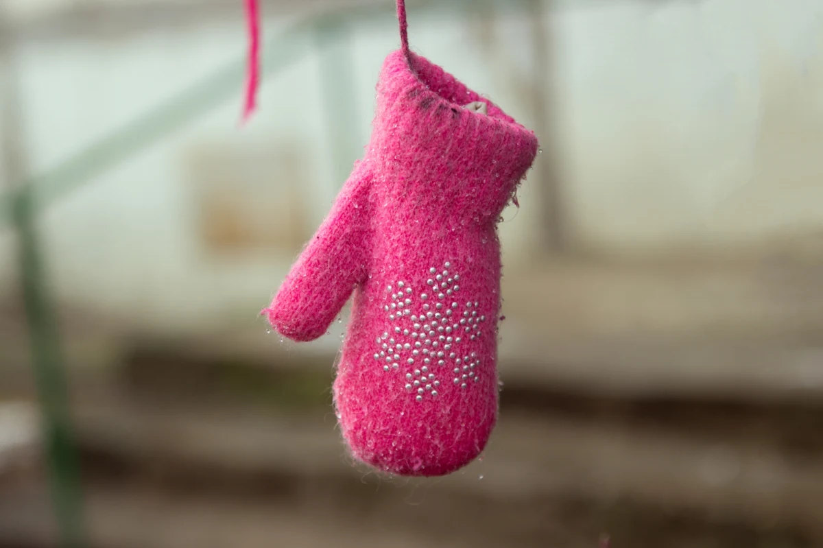 Rodzeństwo w wieku 8-15 lat zaniknęło z placówki opiekuńczej w Stralsundzie (Meklemburgia-Pomorze Przednie). Policja przypuszcza, że dzieci zostały uprowadzone przez ojca. Od soboty prowadzone są intensywne poszukiwania – informuje „Bild”.