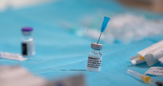 Szczepionka przeciw grypie podana myszom do nosa chroniła zwierzęta przed różnymi szczepami wirusa - w przeciwieństwie do preparatu podanego tradycyjnie. Naukowcy testują już podobną szczepionkę przeciw Covid-19.