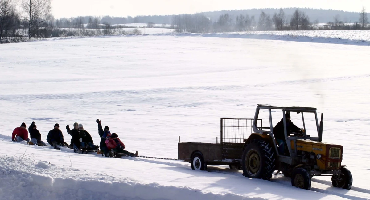 6-latek i 37-letnia kobieta wylądowali w szpitalu po wypadku, do jakiego doszło w czasie kuligu. Jego uczestnicy byli ciągnięci traktorem na drewnianych paletach ułożonych na dwóch parach sanek. W czasie kuligu doszło do zderzenia z samochodem osobowym.
