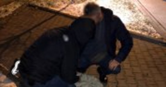 Policjanci z komendy na warszawskiej Ochocie zatrzymali na gorącym uczynku 13-latka, który uczestniczył w oszustwie "na wypadek". Przestępcy tą metodą oszustwa chcieli wyłudzić od 67-latka 120 tysięcy złotych.