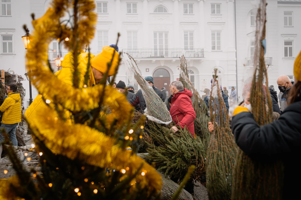 Za nami już Zamość, Chełm, Białystok i Łomża. Dziś żółto-niebieski konwój odwiedził Płock i Toruń! Naszym Słuchaczom rozdawaliśmy świąteczną kawę, pierniczki i – co najważniejsze – piękne choinki.