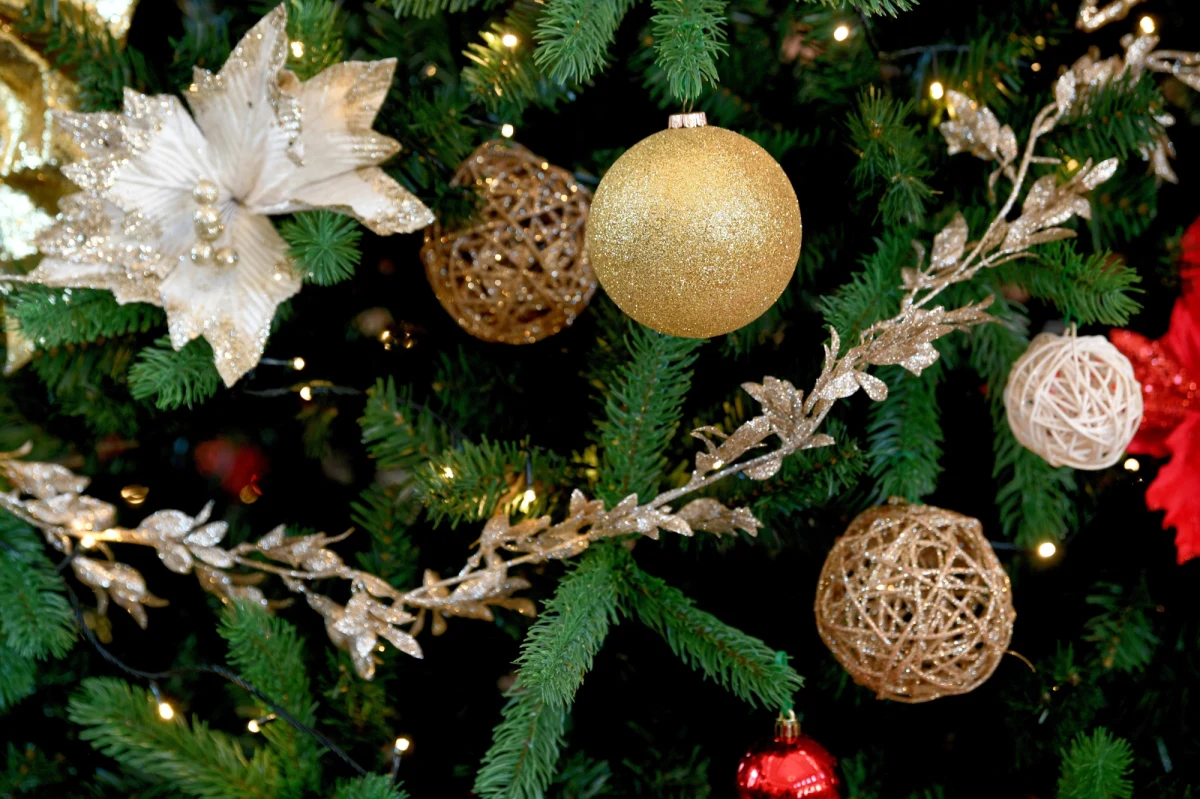 Z okazji zbliżających się świąt Bożego Narodzenia na tych, którzy 16 grudnia oddadzą krew, czeka wyjątkowe podziękowanie. Dawcy dostaną choinki. To prezent od Lasów Państwowych w ramach akcji "Choinka dla życia".