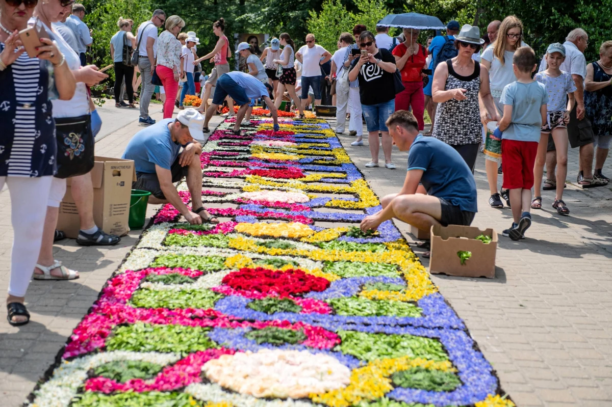 Kultywowana m.in. w Spycimierzu tradycja układania kwiatowych dywanów na procesje Bożego Ciała zostanie wpisana na Listę Reprezentatywną Niematerialnego Dziedzictwa Kulturowego Ludzkości UNESCO. Decyzja ma zostać ogłoszona dziś podczas 16. sesji Międzyrządowego Komitetu UNESCO w Paryżu.