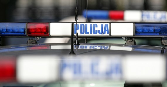 Makabryczne odkrycie przy autostradzie A1 w Śląskiem. Znaleziono ciała dwóch mężczyzn.