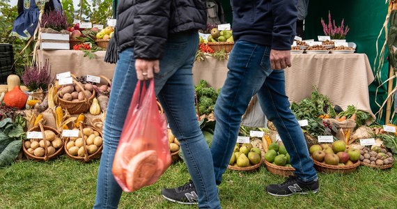 W ciągu roku warzywa podrożały o 18,2 proc. Najbardziej podrożała kapusta czerwona, ziemniaki irga oraz buraki ćwikłowe – wynika z analizy koszyka zakupowego, przekazał ekspert rynku Maciej Kmera. Jak dodaje, widać już pierwsze symptomy świątecznego czasu w handlu. Rośnie zainteresowanie handlowców zakupami, ale na razie kupowane są "produkty, które mogą trochę poleżeć jak kapusta kiszona, cytrusy, warzywa korzeniowe m.in. buraki".