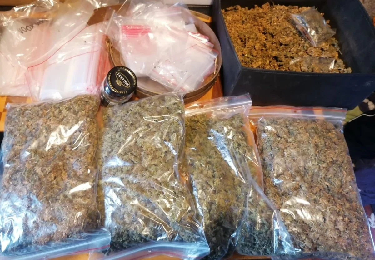 Policjanci z Żabna w powiecie tarnowskim (woj. małopolskie) zatrzymali 47-latka, który w swoim domu miał „magazyn” marihuany. Funkcjonariusze zabezpieczyli ponad 3, 5 kilograma tego narkotyku. Mężczyźnie grozi do 10 lat więzienia.