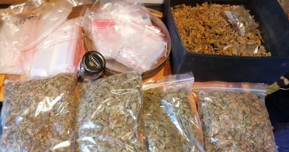 Policjanci z Żabna w powiecie tarnowskim (woj. małopolskie) zatrzymali 47-latka, który w swoim domu miał „magazyn” marihuany. Funkcjonariusze zabezpieczyli ponad 3, 5 kilograma tego narkotyku. Mężczyźnie grozi do 10 lat więzienia.