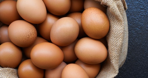 Ceny detaliczne jaj w okresie poprzedzającym święta Bożego Narodzenia są w tym roku wyższe średnio o około 30 proc. niż w grudniu ubiegłego roku - wynika z monitoringu oraz szacunków prowadzonych przez Krajową Izbę Producentów Drobiu i Pasz (KIPDiP). 