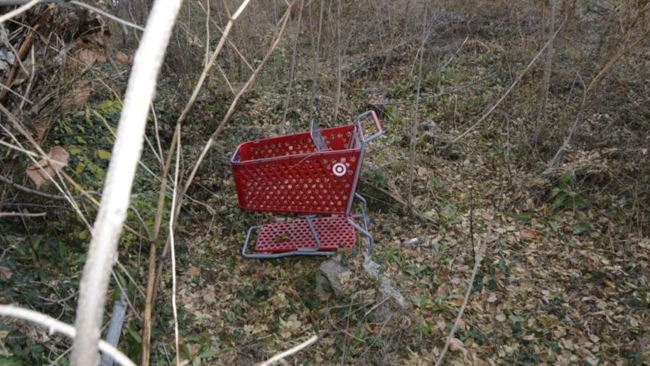 /foto: Fairfax County Police /