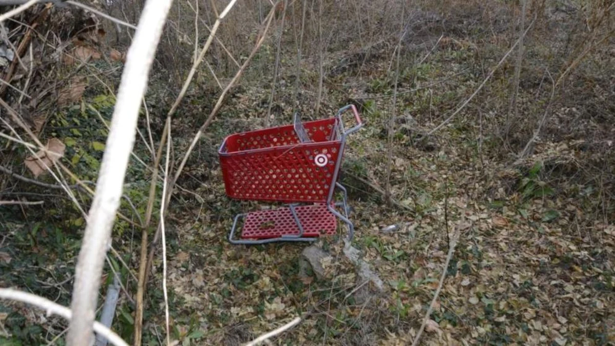 Anthony Robinson zwabiał poznane na portalach randkowych kobiety do hotelu i tam mordował. Policja znalazła ciała czterech jego ofiar, ale podejrzewa, że może ich być więcej. "Mamy seryjnego mordercę" – powiedział na konferencji prasowej szef policji stanu Virginia Kevin Davis.