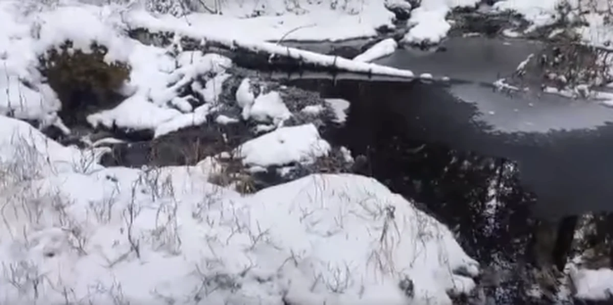 Bóbr zaobserwowany po raz pierwszy w sierpniu nad Morskim Okiem w Tatrach, przeniósł się w nowe miejsce - około 5 km poniżej słynnego jeziora. Ma się dobrze i buduje nowe żeremie – przekazał Grzegorz Bryniarski, leśniczy Tatrzańskiego Parku Narodowego.