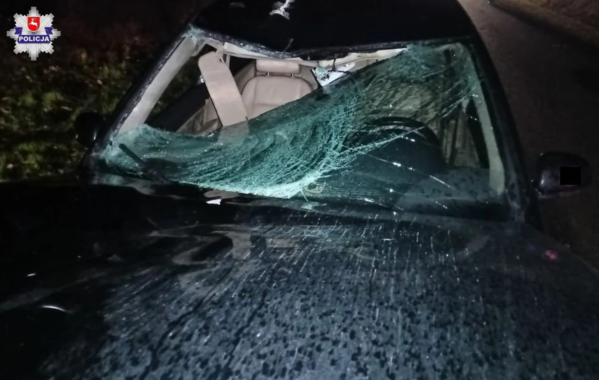 W Młynkach, w powiecie puławskim na Lubelszczyźnie, doszło do wypadku drogowego, w wyniku którego zginęły dwie mieszkanki Puław. 23- latki wysiadły z samochodu, bo źle się poczuły. Kiedy weszły na jezdnię, zostały potrącone przez nadjeżdżającego z naprzeciw volkswagena.