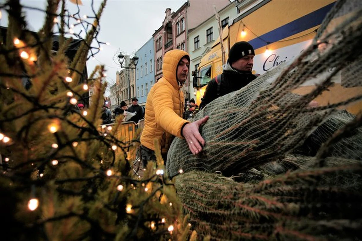 To był ostatni dzień naszej akcji Choinki pod choinkę od RMF FM. Nasz świąteczny konwój był dziś w Gliwicach i Krakowie. Słuchaczom rozdawaliśmy świąteczną kawę, pierniczki i – co najważniejsze – piękne choinki.