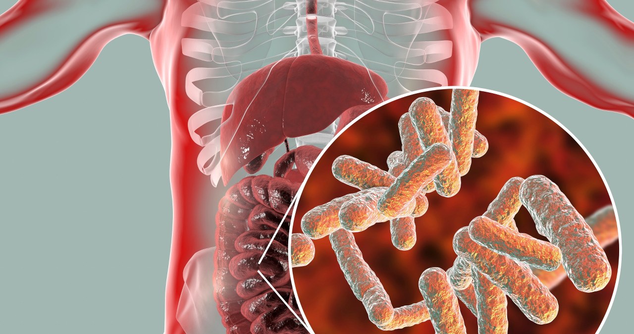 Nowe odkrycie na Harvardzie. Przełom w leczeniu otyłości i cukrzycy