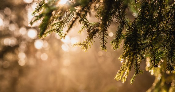 W nocy pogoda się pogorszy. W całym kraju będzie pochmurno, ale i mroźno. Na południu wystąpią mgły. Z zachodu nadejdzie ocieplenie. 