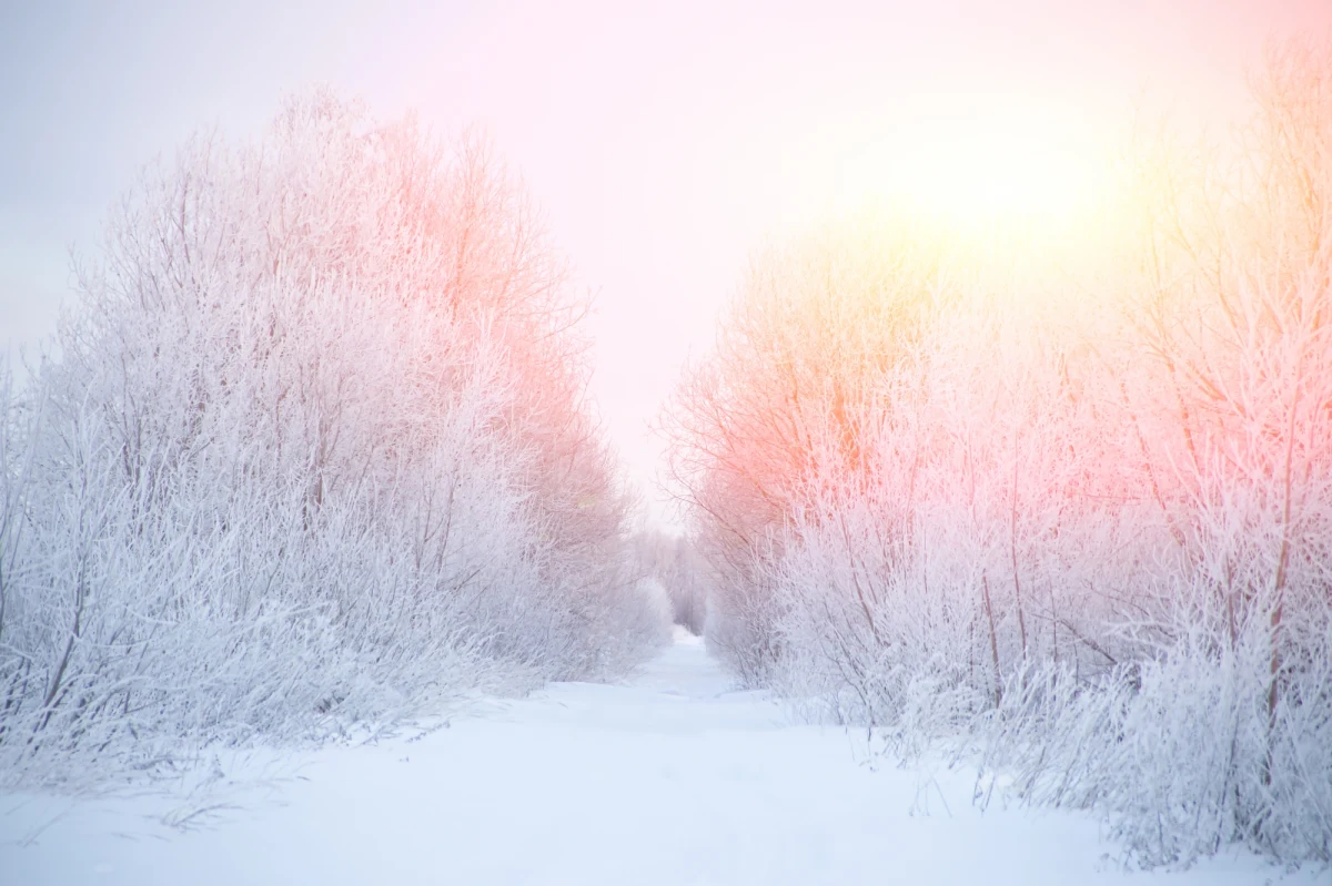 Instytutu Meteorologii i Gospodarki Wodnej wydał w nocy ostrzeżenie pierwszego stopnia przed silnymi mrozami w województwie warmińsko-mazurskim.
