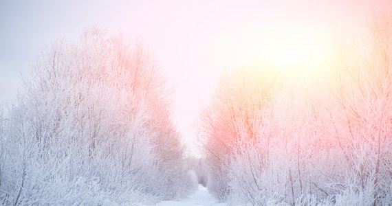 Instytutu Meteorologii i Gospodarki Wodnej wydał w nocy ostrzeżenie pierwszego stopnia przed silnymi mrozami w województwie warmińsko-mazurskim.
