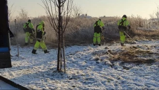 Kosili trawę na osiedlu, mimo śniegu i siarczystego mrozu 