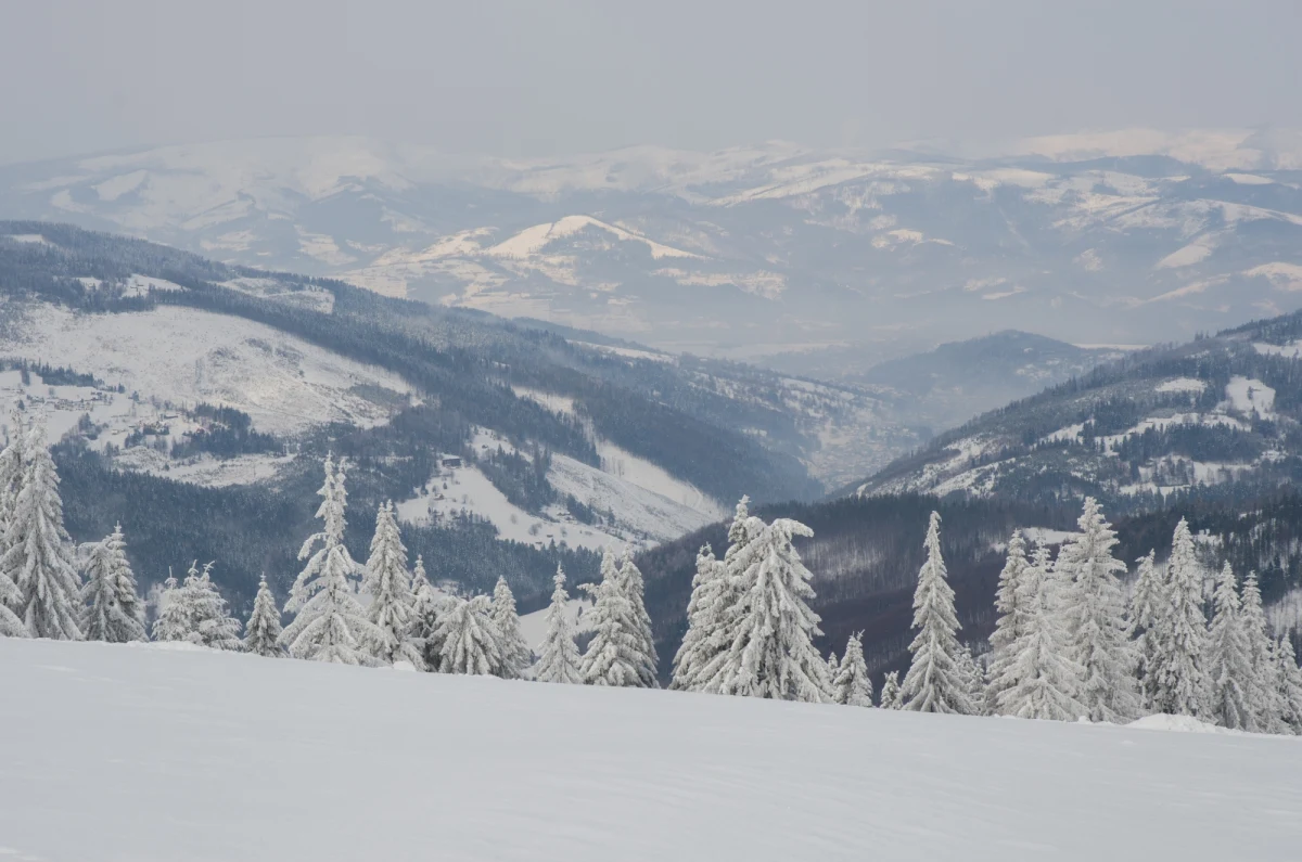 ​Trudne warunki panują na szlakach turystycznych w Beskidach. Szczególnie na rzadziej uczęszczanych trasach występują oblodzenia. Jest też dużo zasp. Dobre, a miejscami nawet bardzo dobre są natomiast warunki na trasach narciarskich - poinformowali w środę beskidzcy goprowcy.