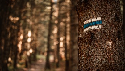 Gorczański Park Narodowy: Od 1 stycznia wstęp tylko z biletem 