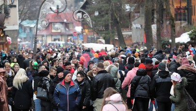 Tłumy w Zakopanem. Strażnicy miejscy w pogoni za... dinozaurem