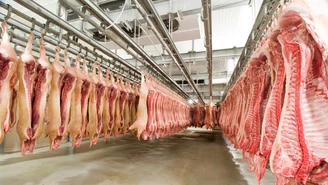 Niemcy: Minister rolnictwa walczy z tanim mięsem