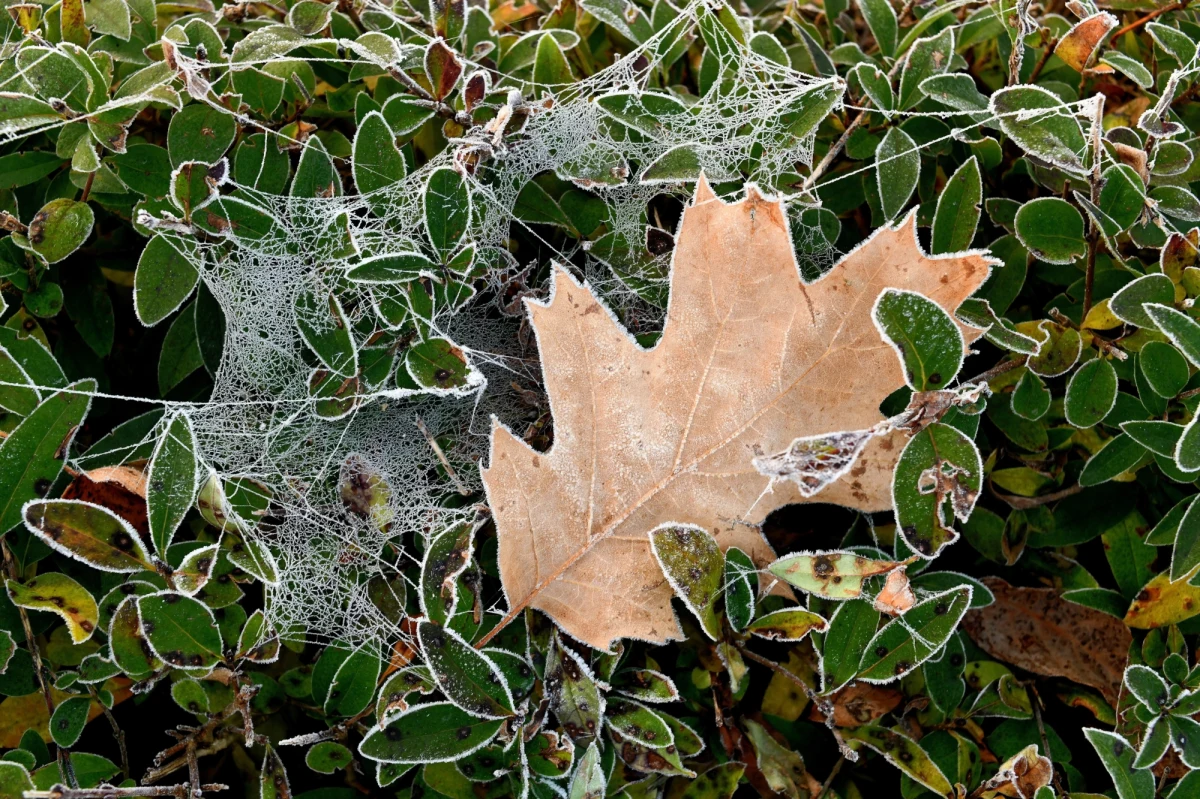 „W poniedziałek Polska nadal będzie znajdowała się pod wpływem rozległego niżu obejmującego północno-zachodnią Europę, za którego sprawą do kraju napływa ciepłe i wilgotne powietrze polarno-morskie” - powiedziała Grażyna Dąbrowska, synoptyk IMGW-PIB. We wtorek spodziewajmy się dużego zachmurzenia i opadów deszczu.