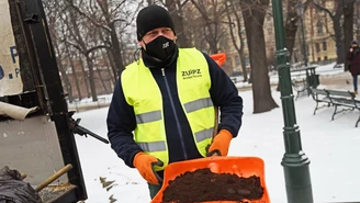 Kawa zamiast soli. Kraków przygotowuje się do walki z zimą