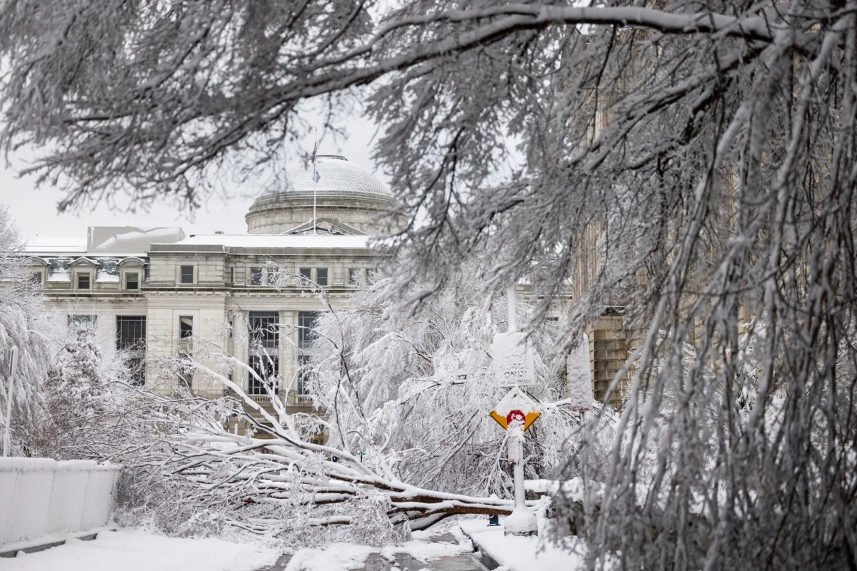Pierwsze tej zimy opady śniegu w okolicach Waszyngtonu doprowadziły do masowego odwołania lotów, zakłóceń w dostawach prądu, a także zamknięcia pracy urzędów i szkół w regionie. Chwilowo uziemiony został też śmigłowiec prezydenta USA Joe Bidena i odwołano konferencję prasową w Białym Domu.