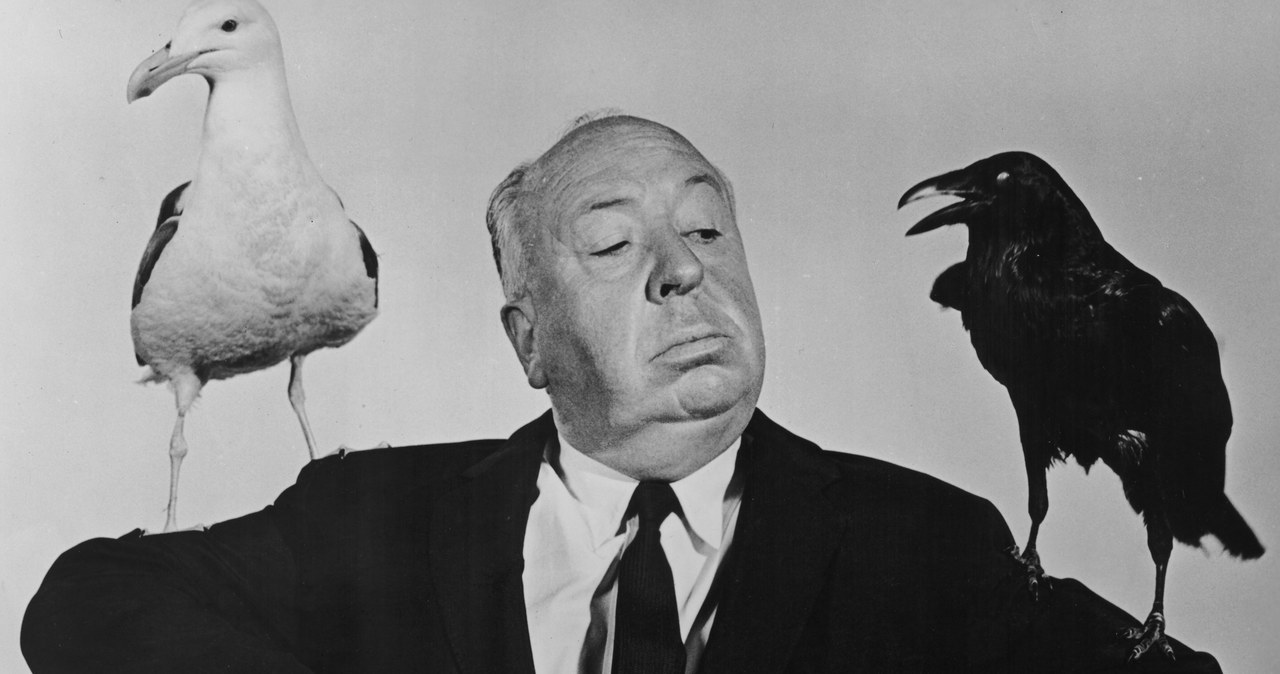 Alfred Hitchcock zapisał się na kartach historii kina jako jeden z najbardziej charakterystycznych twórców. W jego dorobku artystycznym znajdują się produkcje właściwe dla wszystkich epok kina. W czasie, gdy filmy Hitchcocka rewolucjonizowały kinematografię, niewiele osób zdawało sobie sprawę z tego, że za geniuszem reżysera kryło się niezwykle trudne dzieciństwo...