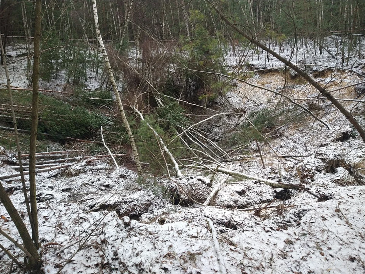 W lesie w Bolesławiu w województwie małopolskim powstało duże zapadlisko o średnicy około 60-70 metrów i głębokości około 12 metrów. Niedaleko znajdują się domy. Mieszkańcy obawiają się, że w przyszłości w pobliżu mogą powstać kolejne dziury. 