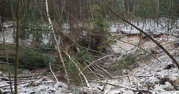 W lesie w Bolesławiu w województwie małopolskim powstało duże zapadlisko o średnicy około 60-70 metrów i głębokości około 12 metrów. Niedaleko znajdują się domy. Mieszkańcy obawiają się, że w przyszłości w pobliżu mogą powstać kolejne dziury. 