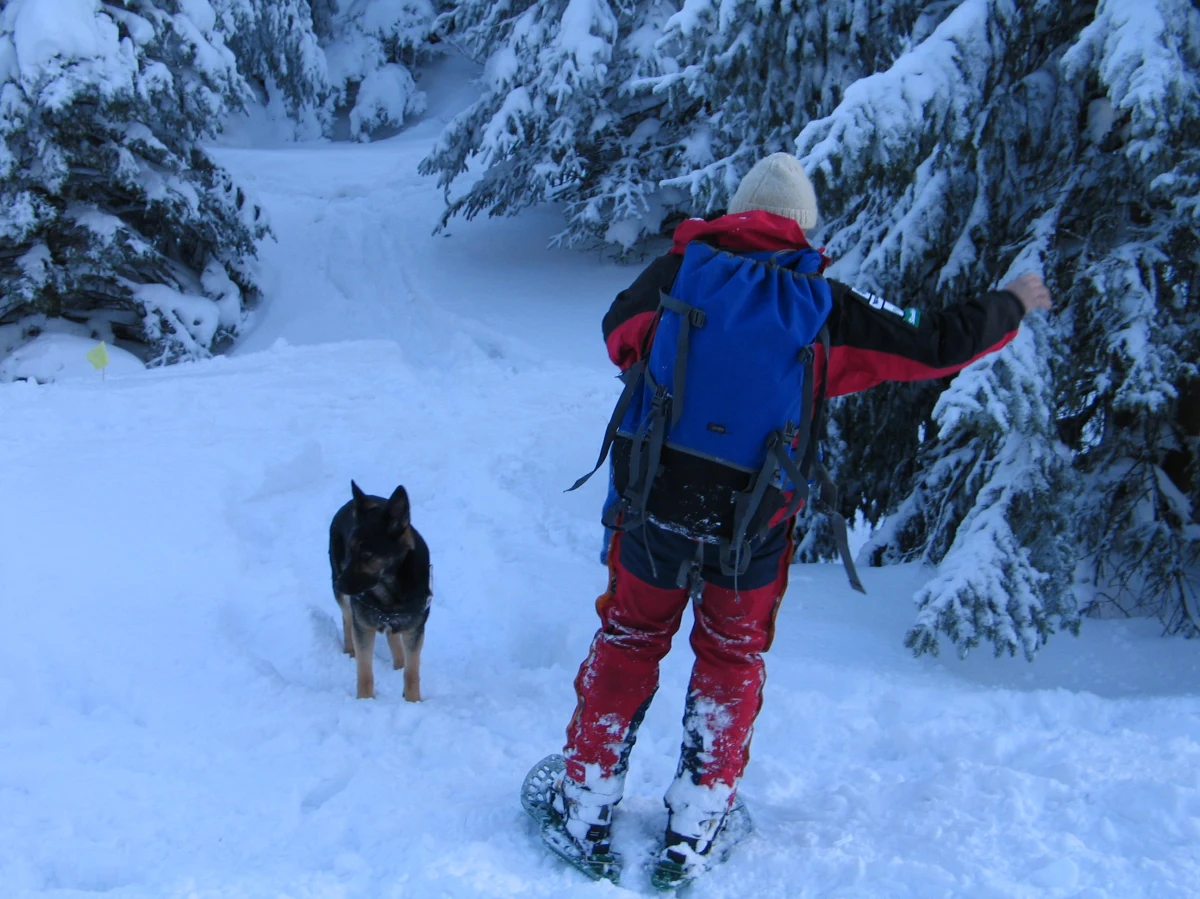 Tak pracowitego weekendu zimowego nie pamiętają nawet ratownicy Tatrzańskiego Ochotniczego Pogotowia Ratunkowego z wieloletnim doświadczeniem. Przez trzy dni odnotowali oni aż 20 wypraw ratunkowych – informuje ratownik dyżurny TOPR Rafał Mikler. 